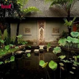 An Ubud Destination for Nature and Art Lovers